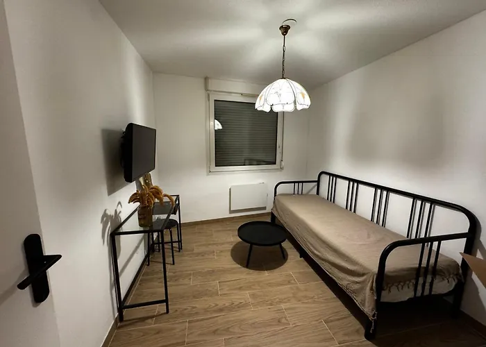 Le Sarsour Appartement Strasbourg Centre